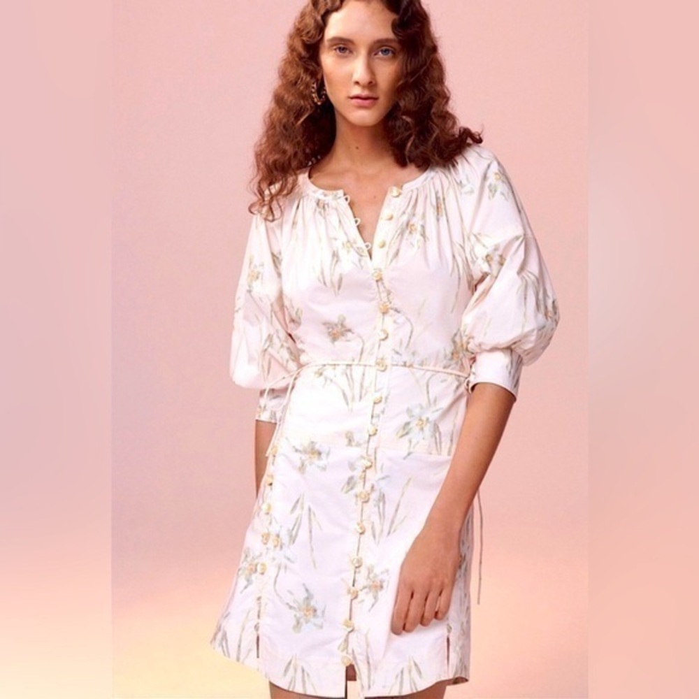 Rebecca Taylor Painted Daffodil Cotton Poplin Pastel Floral Button Front Dress